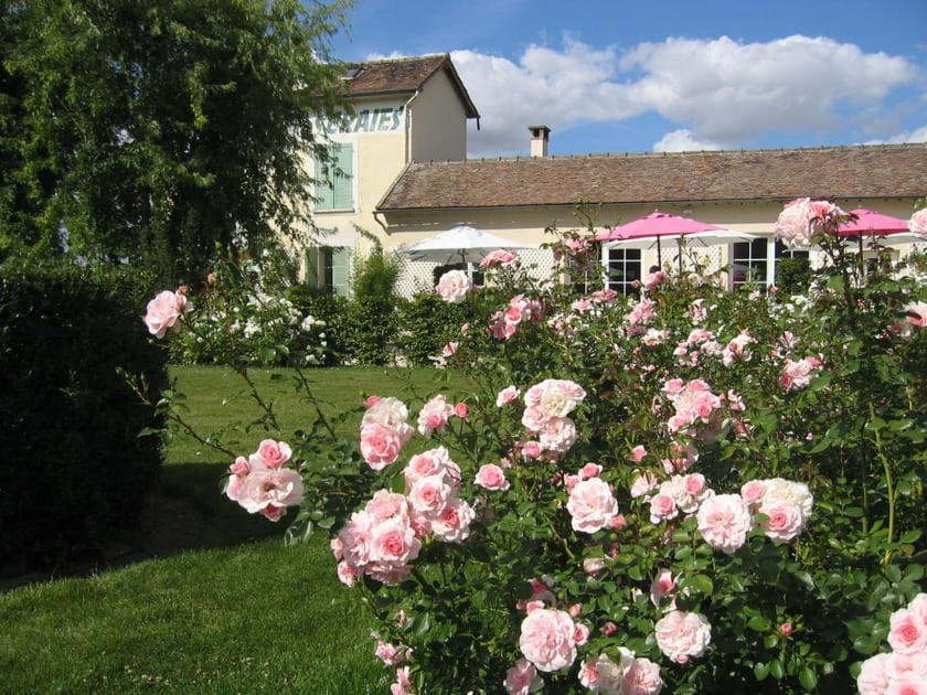 Gite Dans Une Ancienne Corps De Ferme D Provins Kültér fotó